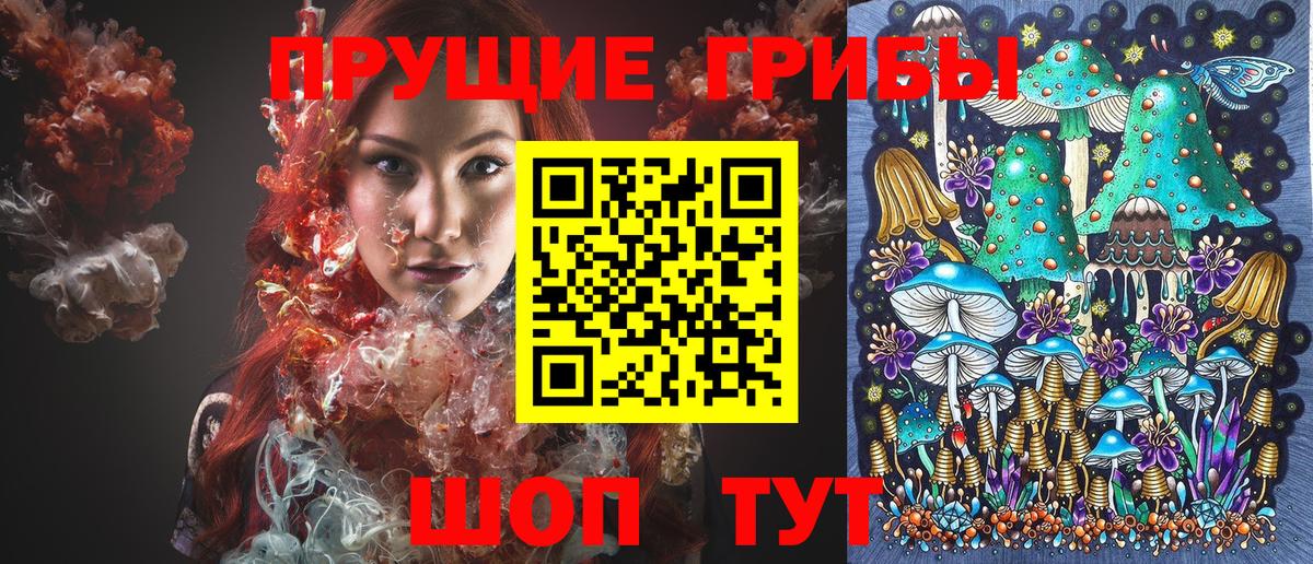 Улан-Удэ  Псилоцибиновые грибы GOLDEN TEACHER  Вход с VPN 
